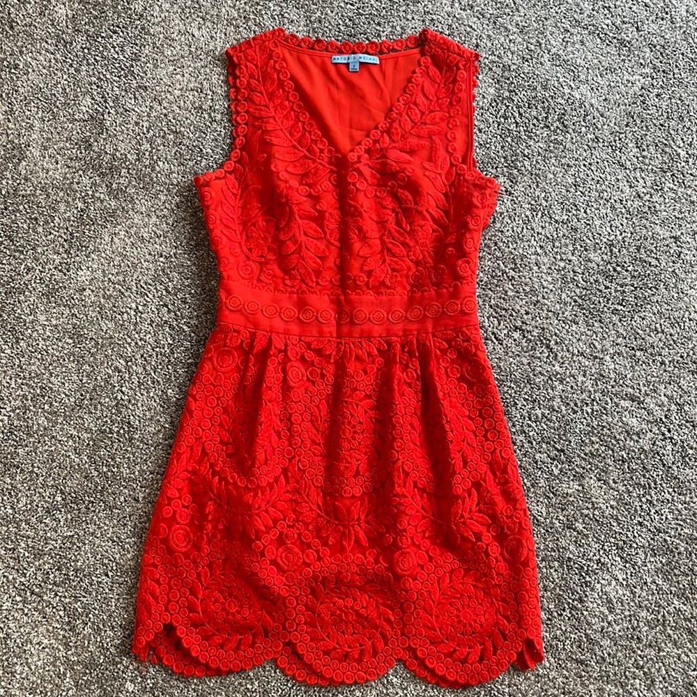 Antonio Melani Red Lace Dress. Ladies Size 2. Excellent condition